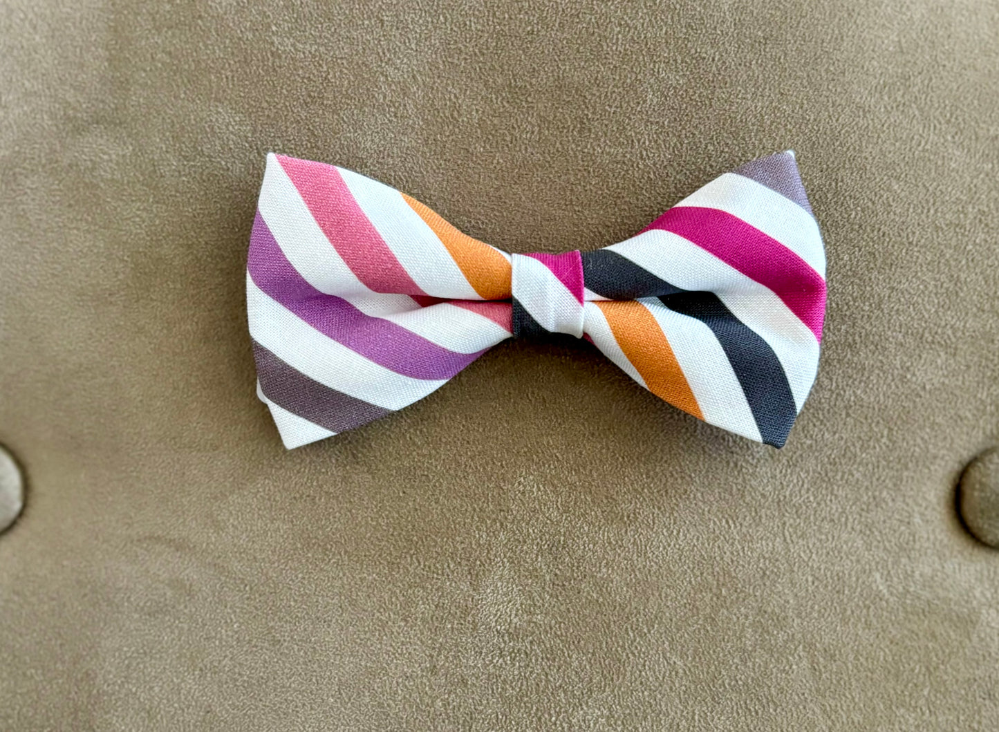 Bright Stripes in Scarves and Bows