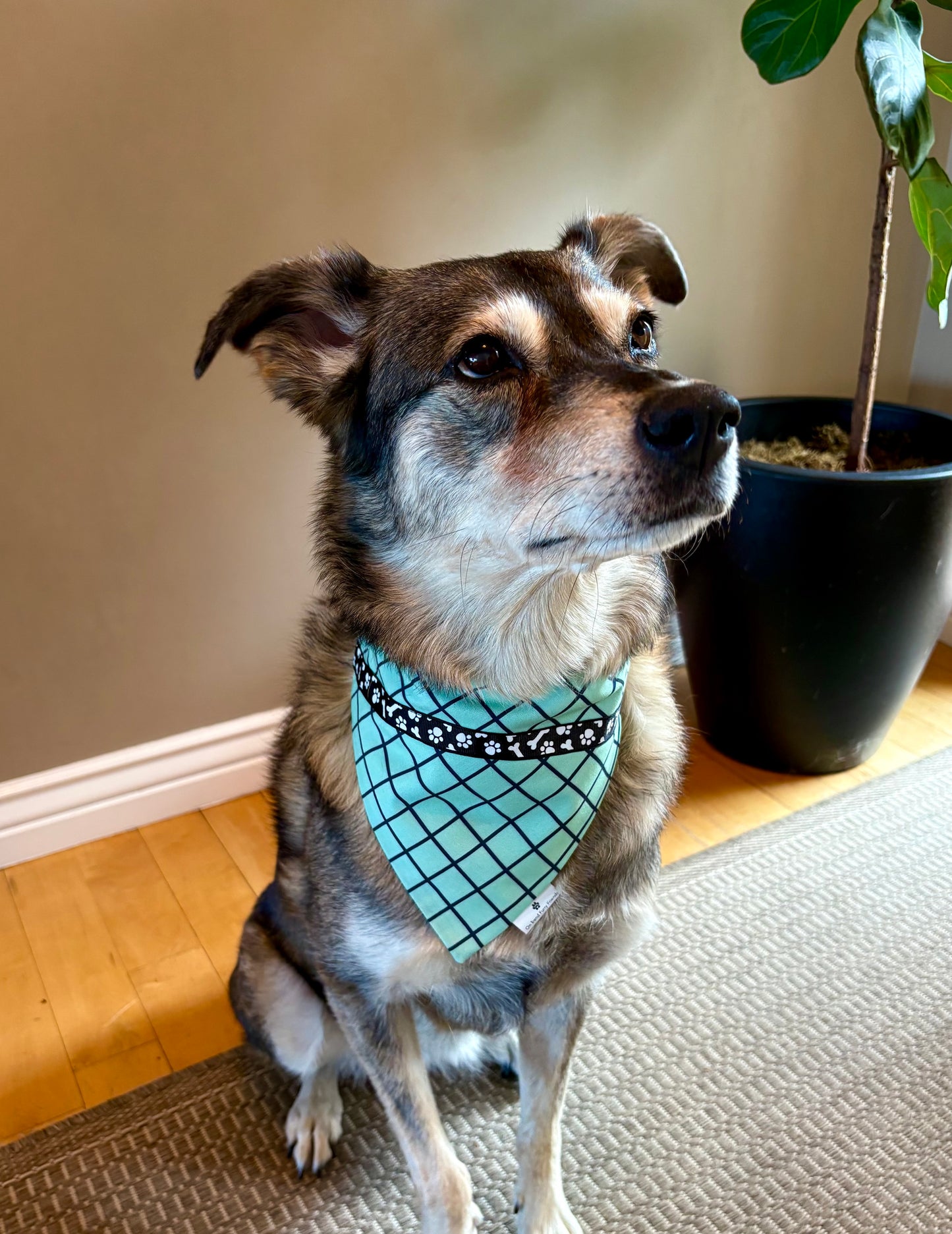 On the Grid with Tail-Wagging Trim
