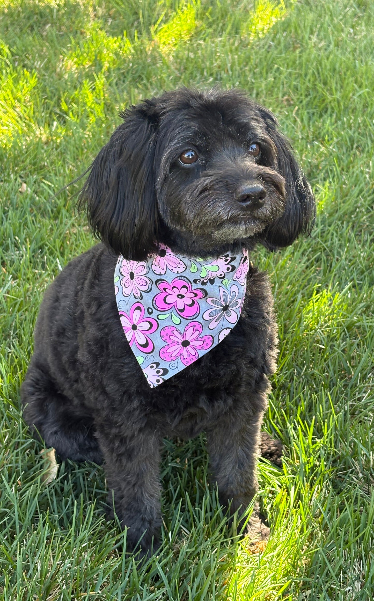 Groovy Flowers Pet Scarf