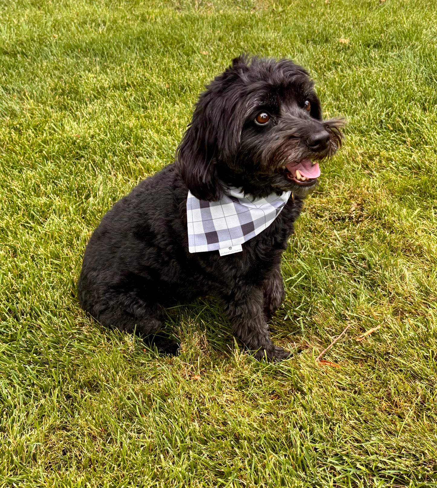 Blue Breeze Plaid