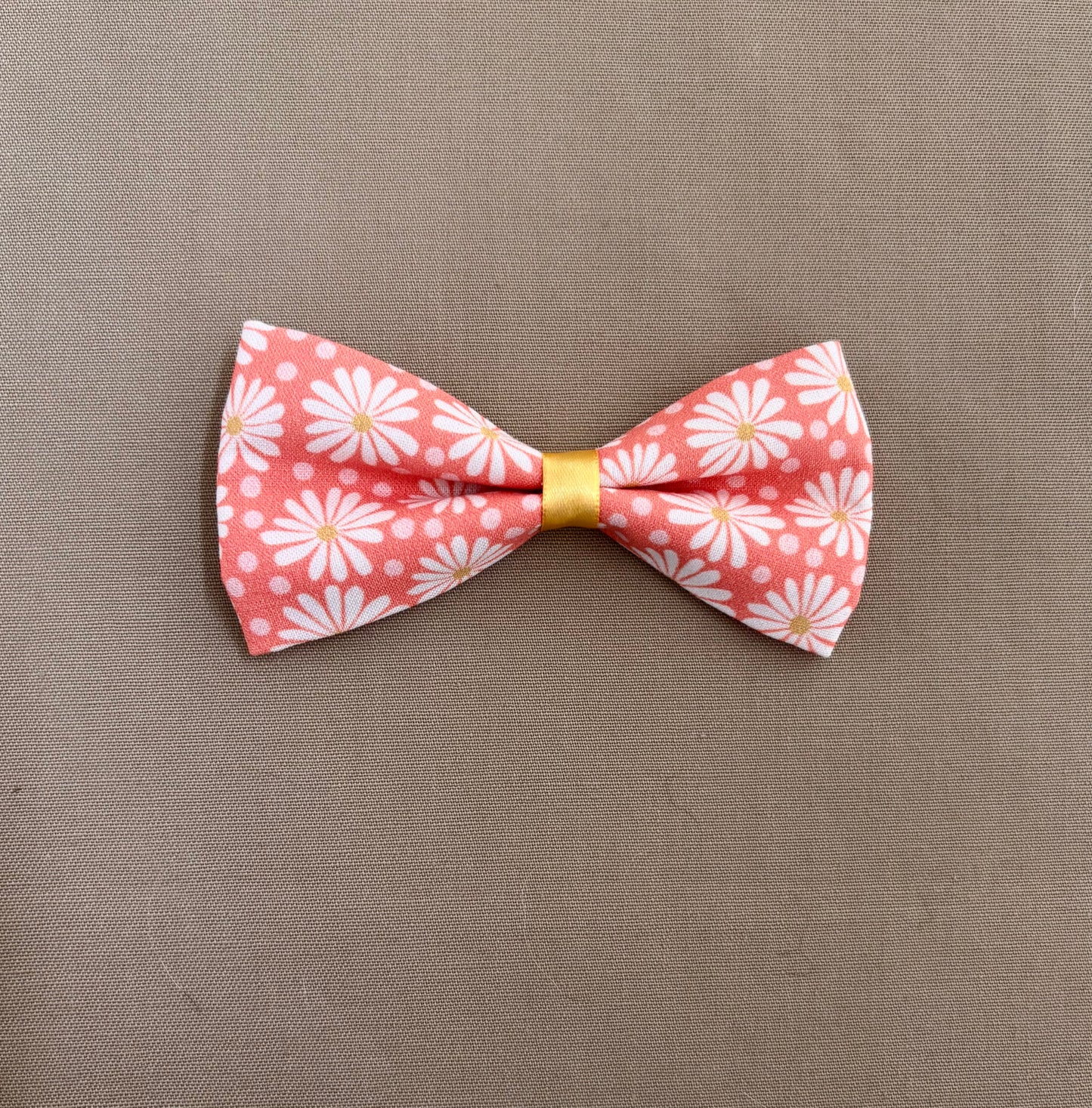 Fun with Daisies in Scarves and Bows