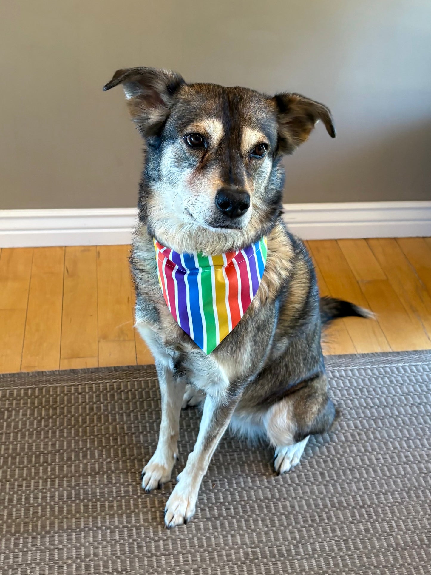Pride Stripes
