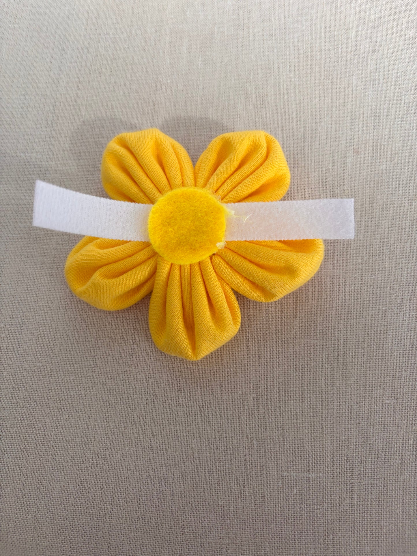 Brightly Colored Collar Flowers