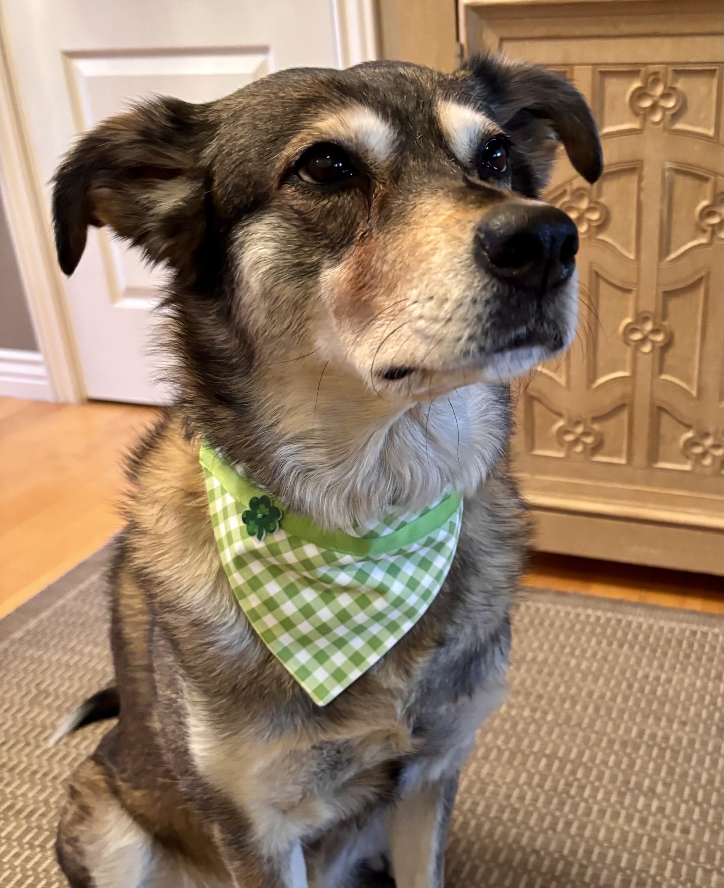 Bright Green Checks with Shamrock Button
