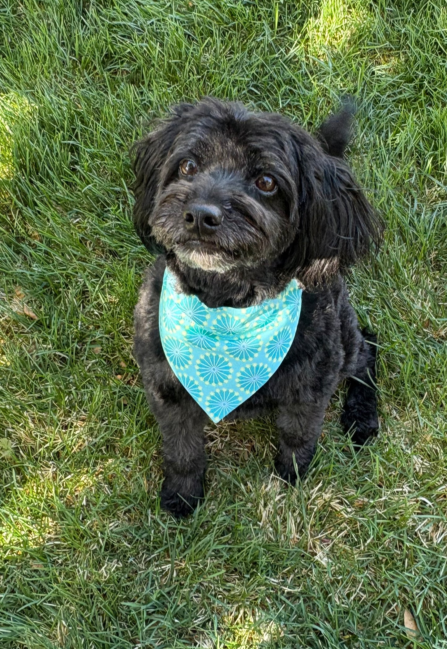 Aqua Confetti Scarf