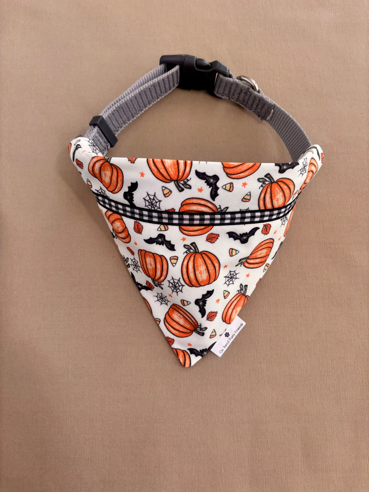 Halloween Bats and Pumpkins in Scarves and Bows