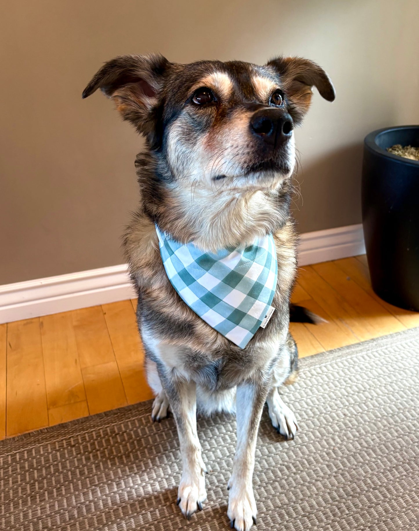 Large Buffalo Plaid Scarf in Two Color Choices