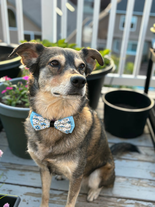 Blue and Black Blossoms - Double Bow - New for Summer!