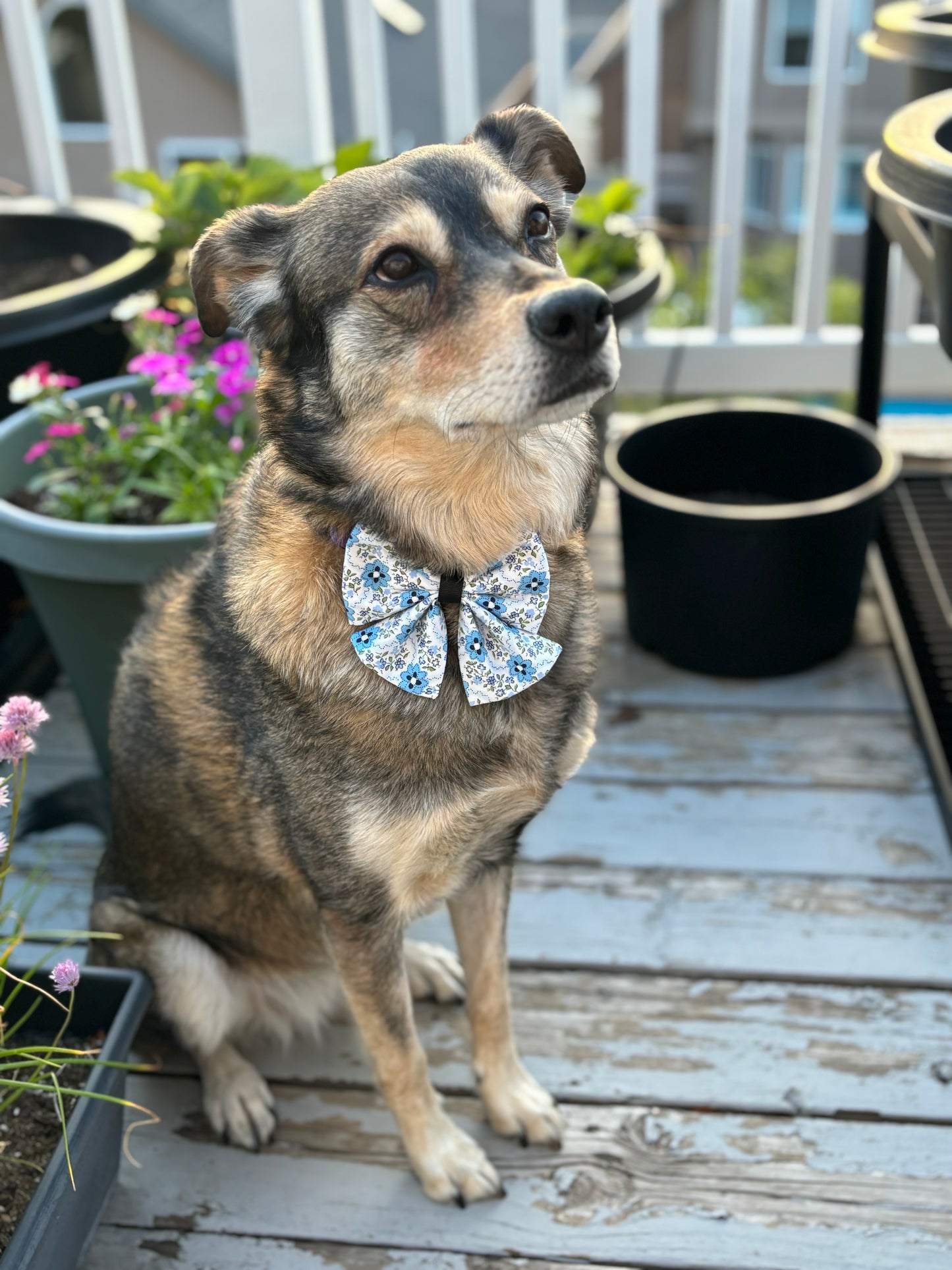 Chic Blue and Black Blossoms - Bow with Tails - New For Summer!