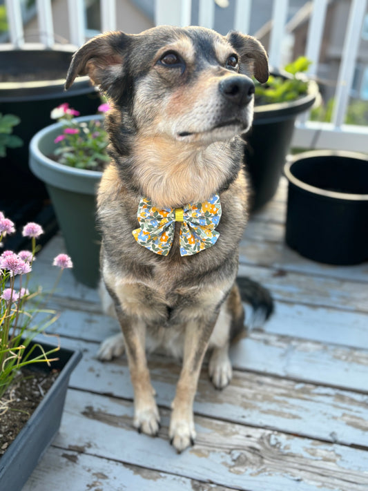 Mini Blossoms in Yellow and Blue - Bow with Tails - New for Summer!