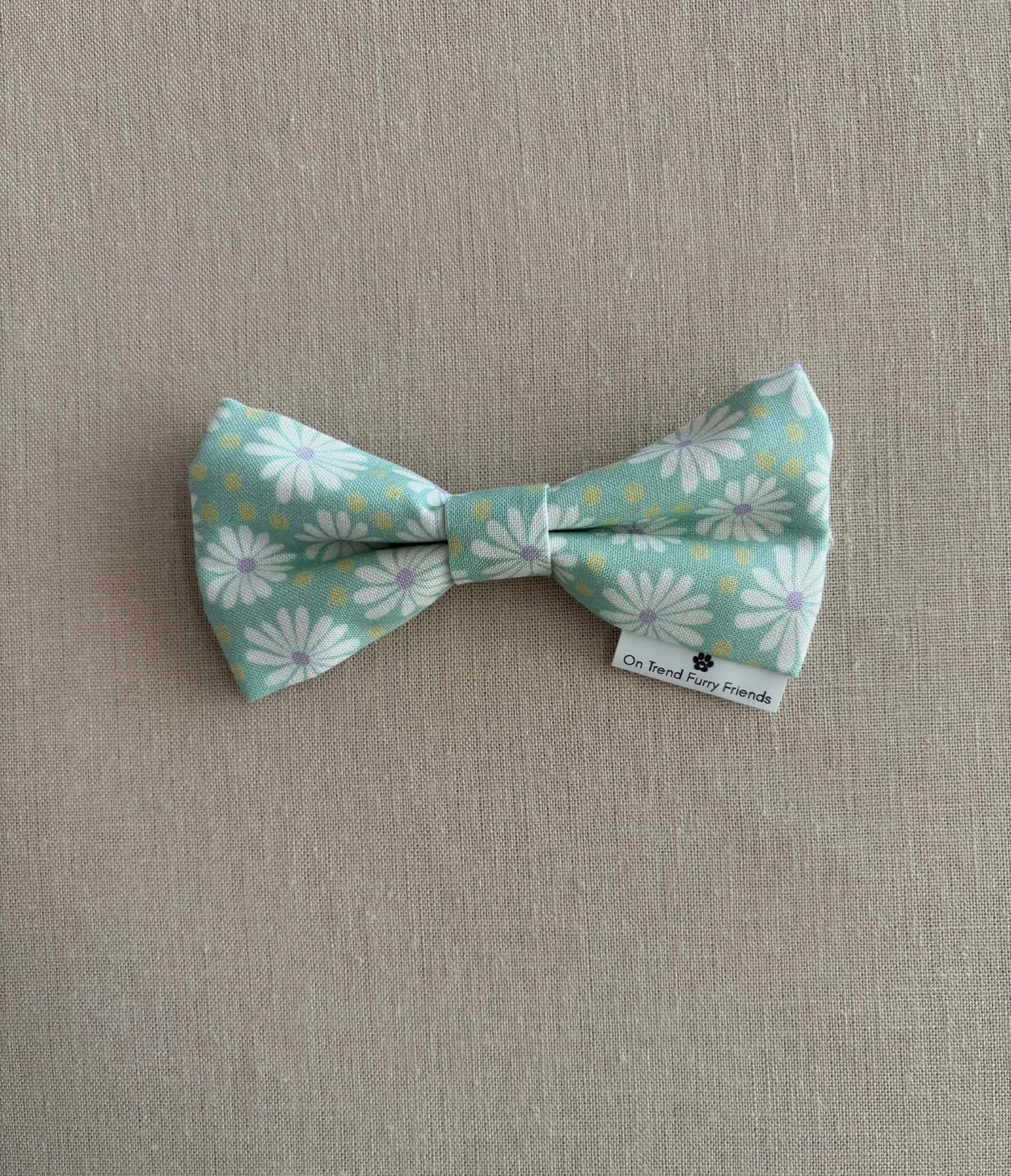 Fun with Daisies in Scarves and Bows