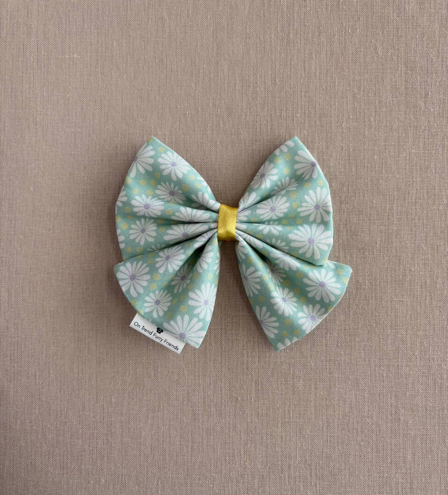 Fun with Daisies in Scarves and Bows