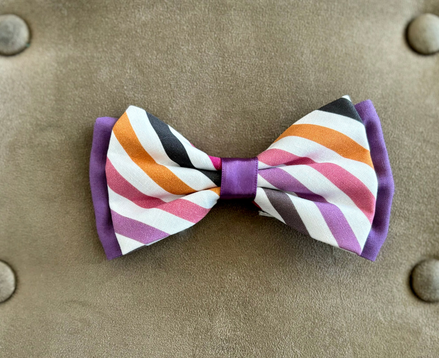 Bright Stripes Pet Scarf and Bows