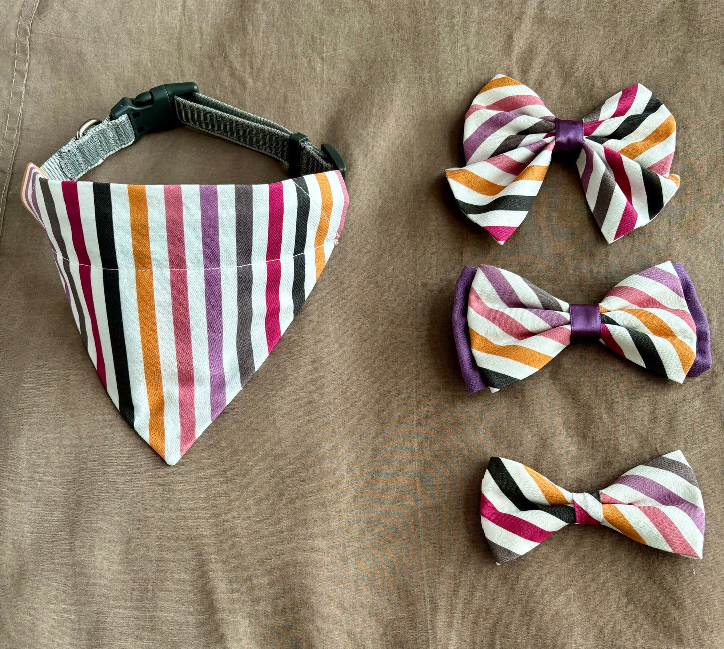 Bright Stripes Pet Scarf and Bows