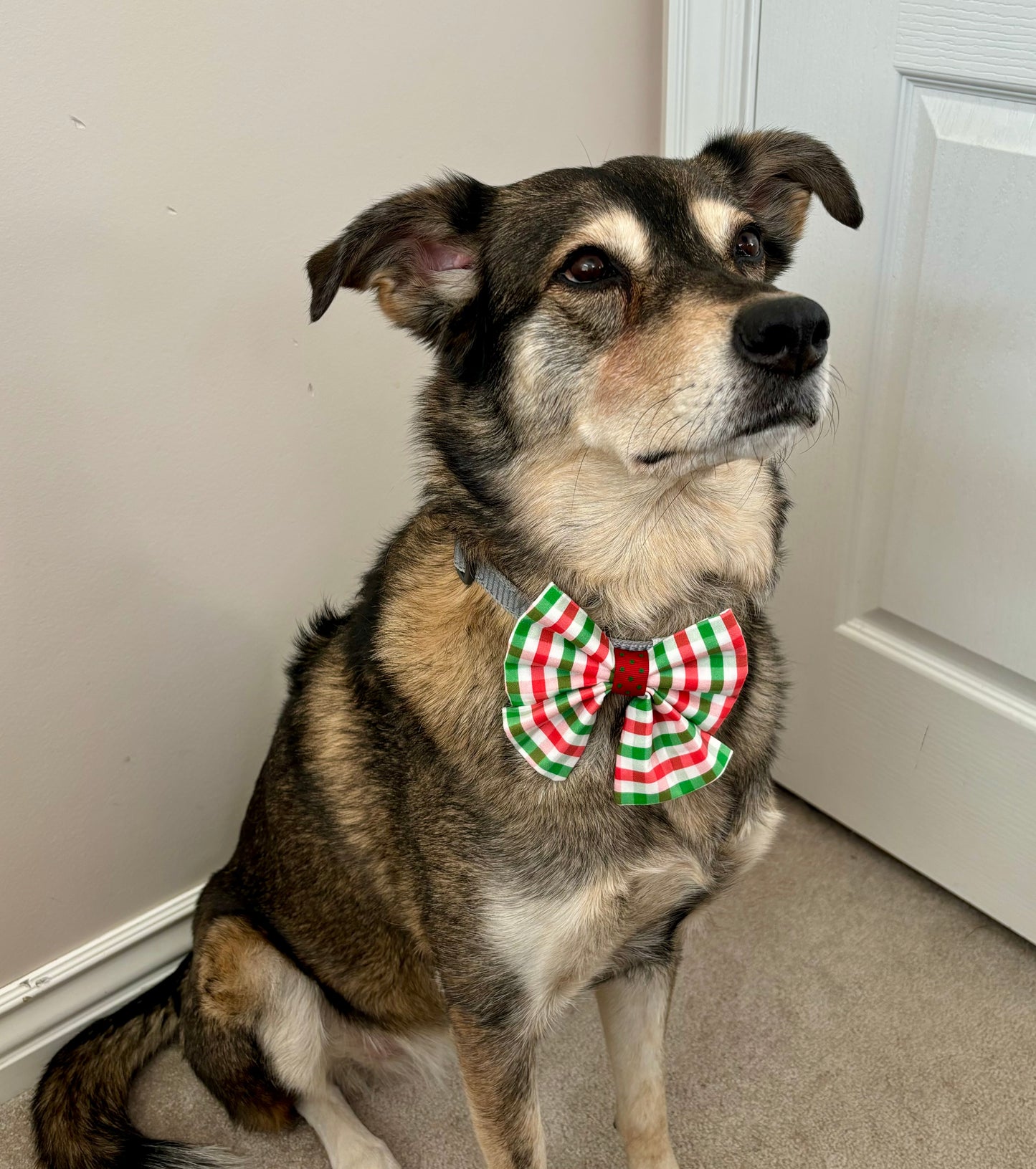 Red and Green Christmas Plaid Scarves and Bows