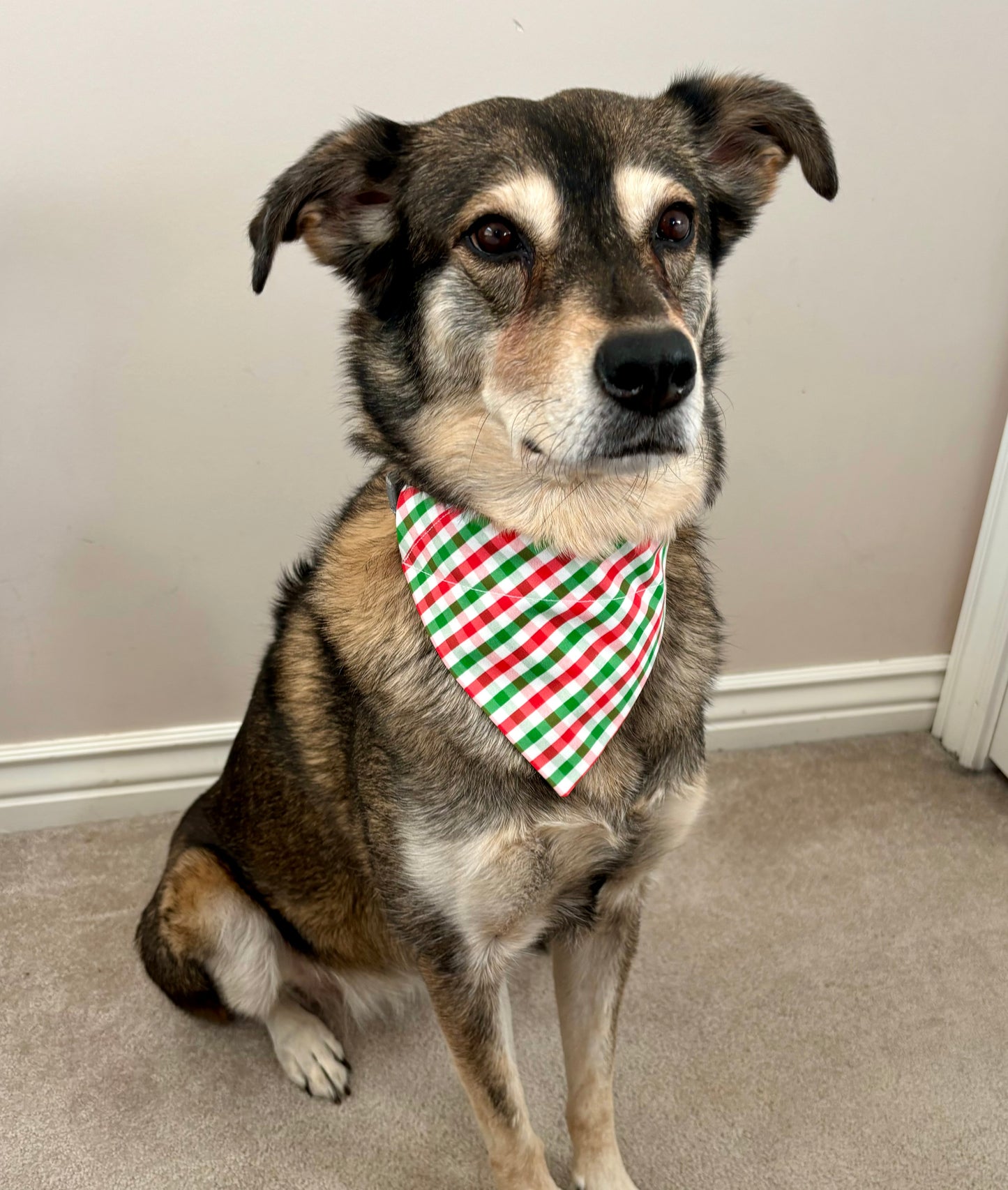 Red and Green Christmas Plaid Scarves and Bows