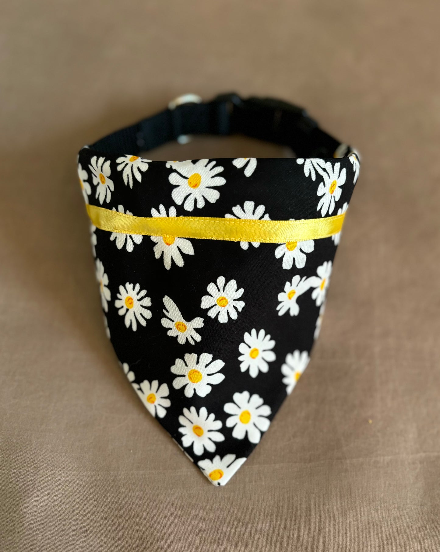 Playful Daisies on Black Pet Scarf