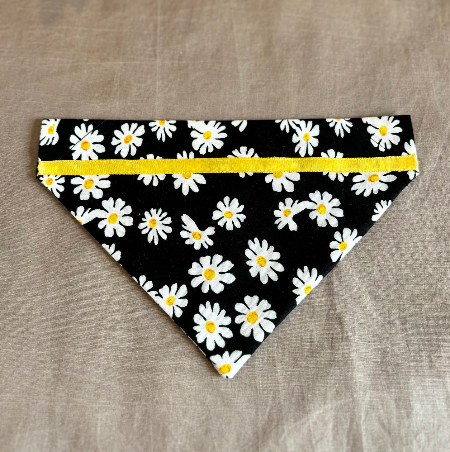 Playful Daisies on Black Pet Scarf