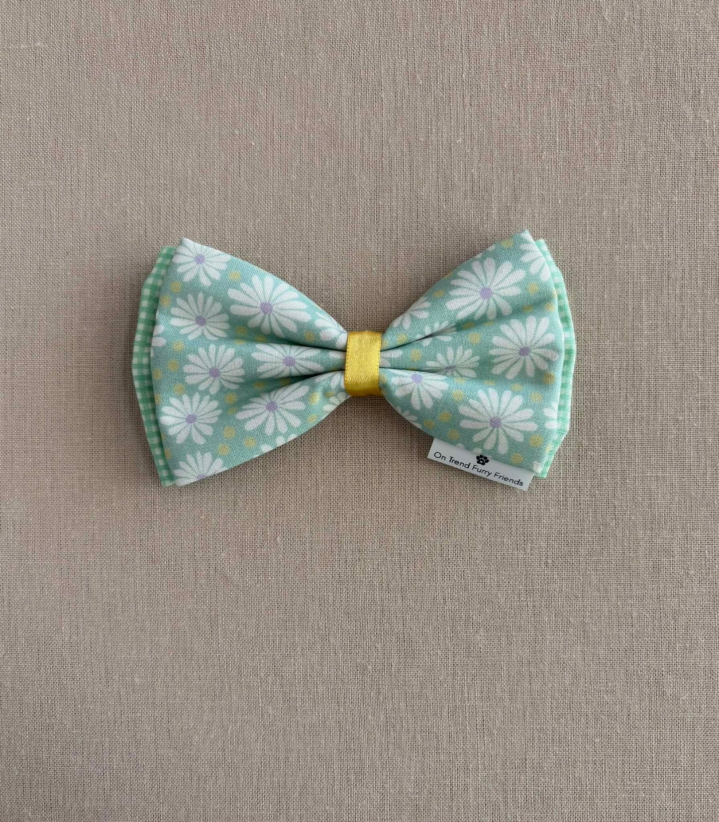 Fun with Daisies in Scarves and Bows