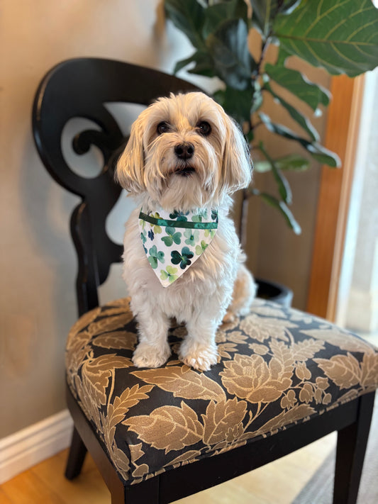 Watercolor Shamrocks in Two Styles