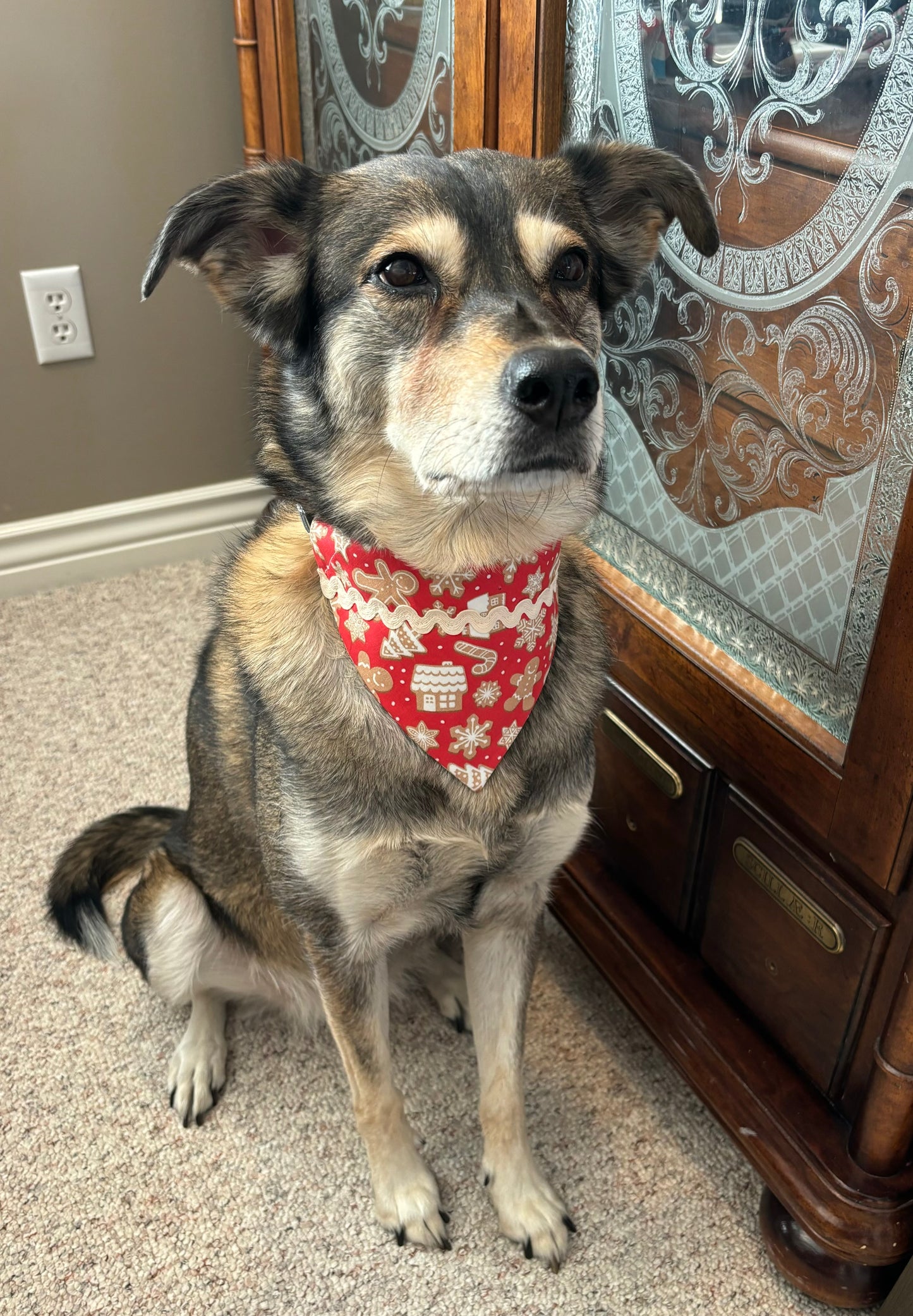 Gingerbread Pet Scarf