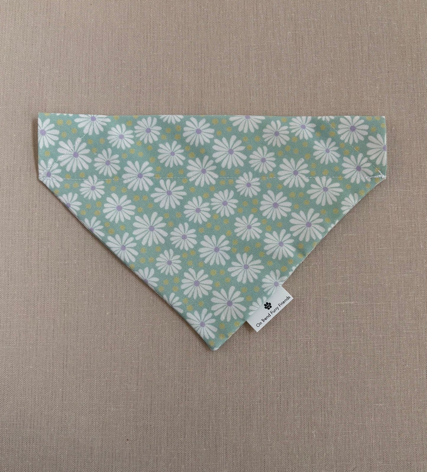 Fun with Daisies in Scarves and Bows