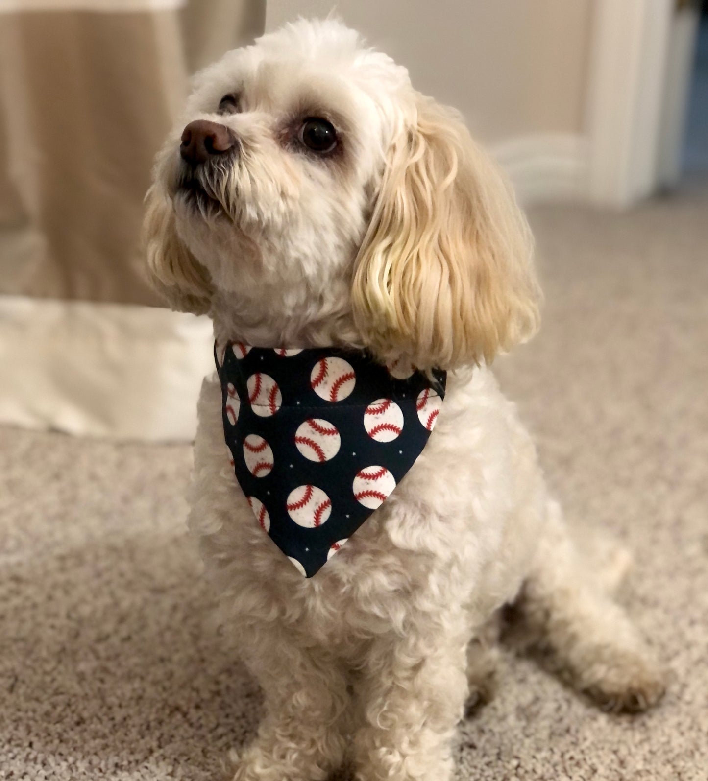 Play Ball! Pet Scarf - New for Summer!