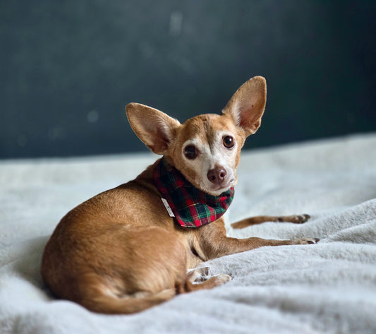 Yuletide Tartan Plaid Scarf