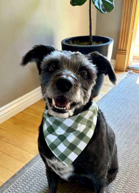 Large Green Buffalo Plaid Scarf