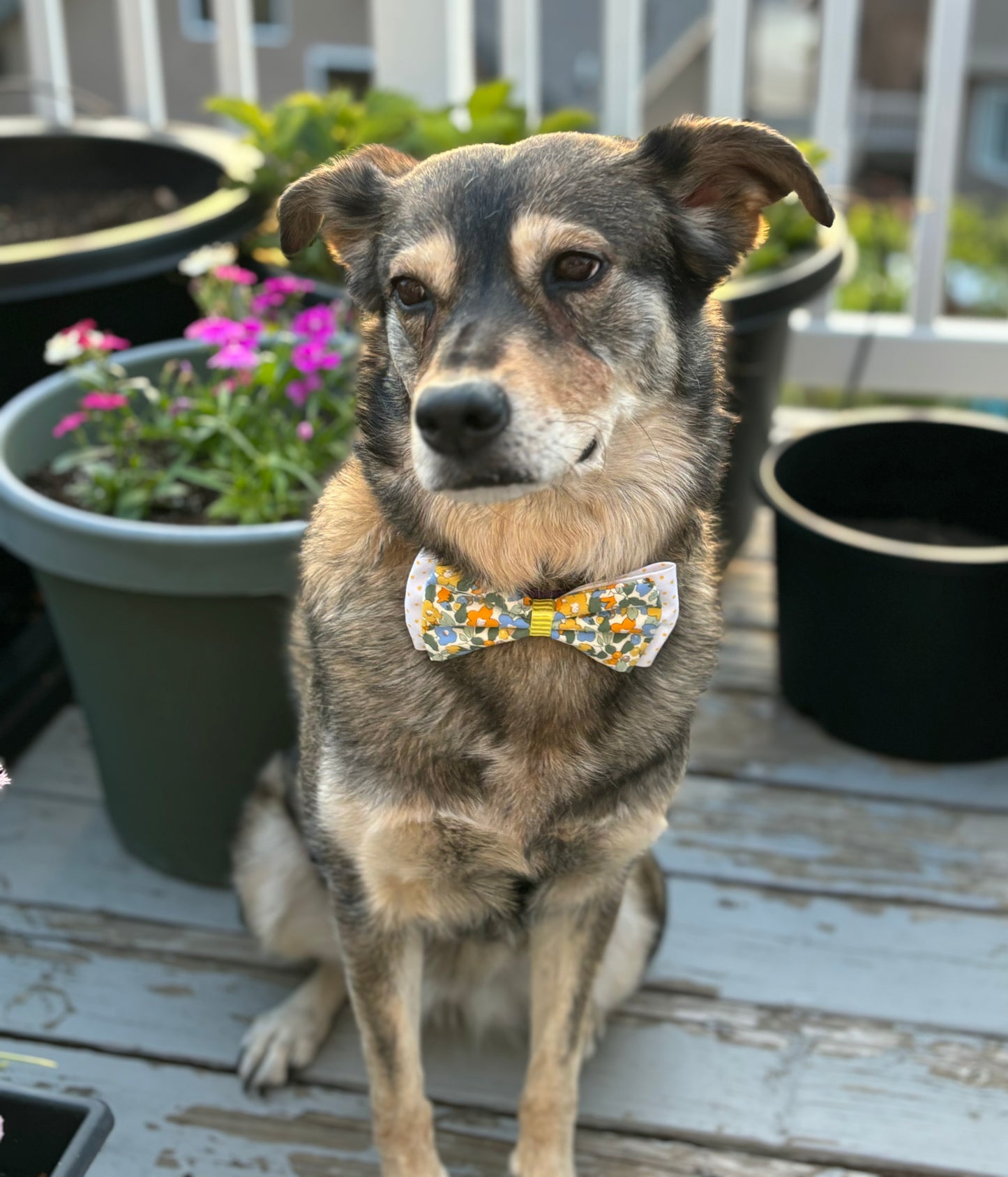 Mini Blossoms in Yellow and Blue - Double Bow - New for Summer!