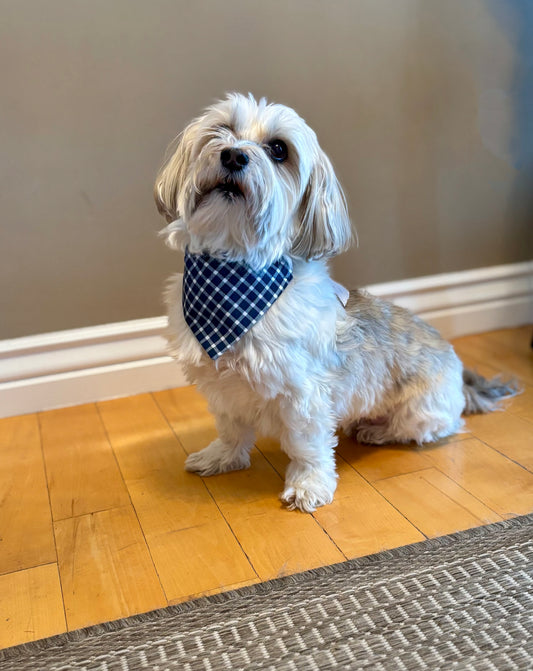 Navy and White Simple Plaid Scarf