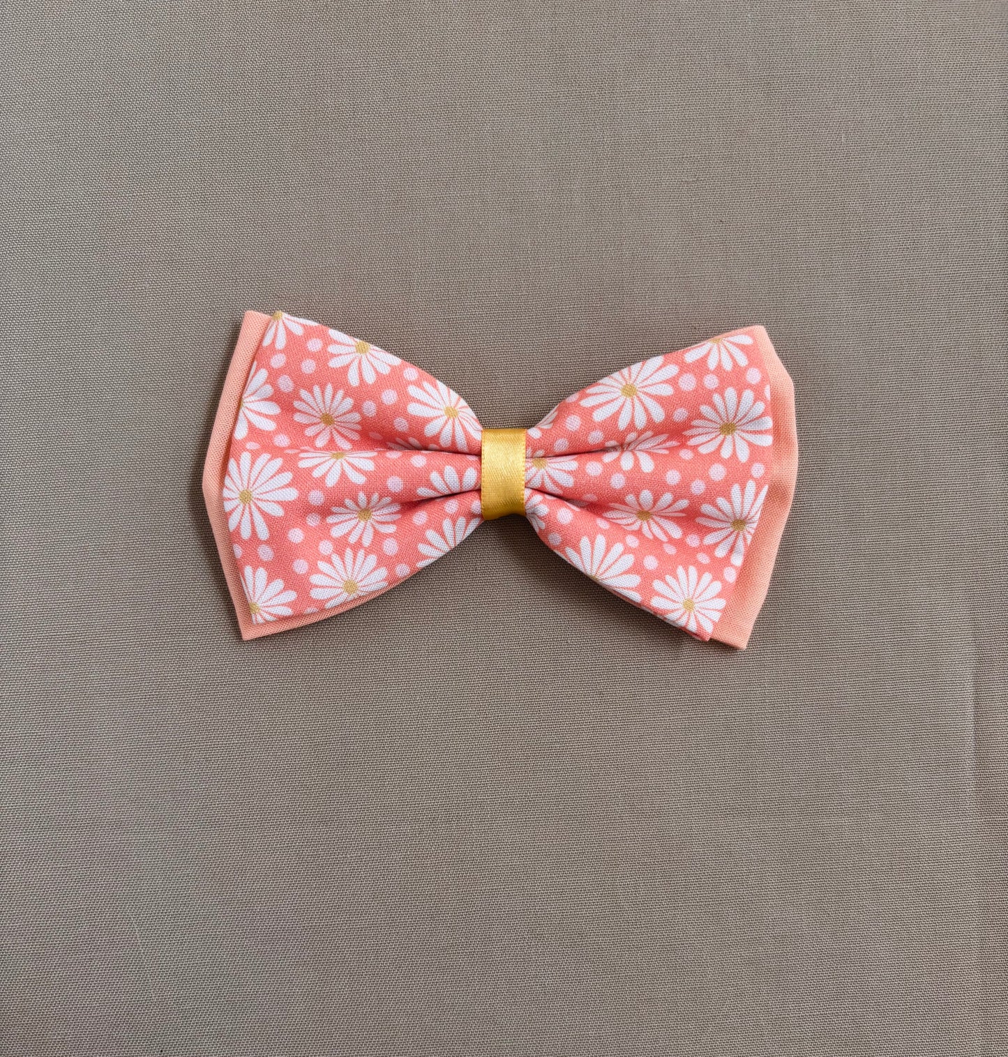 Fun with Daisies in Scarves and Bows