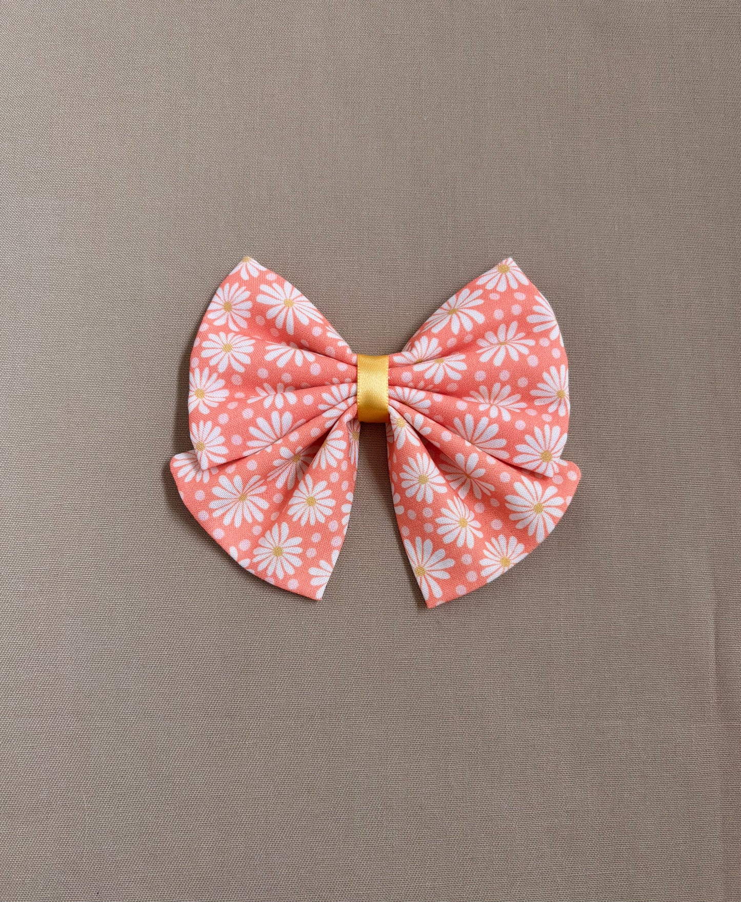 Fun with Daisies in Scarves and Bows