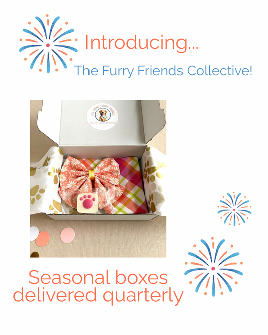 The Furry Friends Collective Membership Program