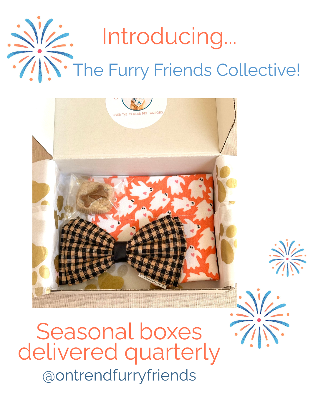 The Furry Friends Collective Membership Program