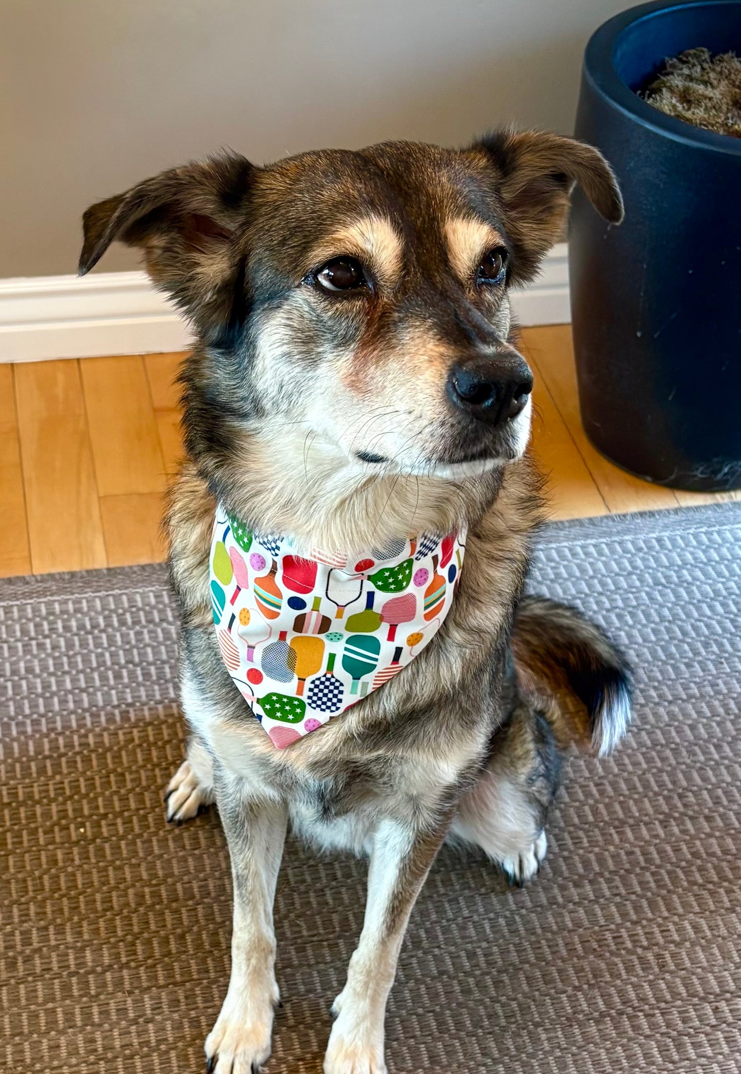 Pickleball Pet Scarf