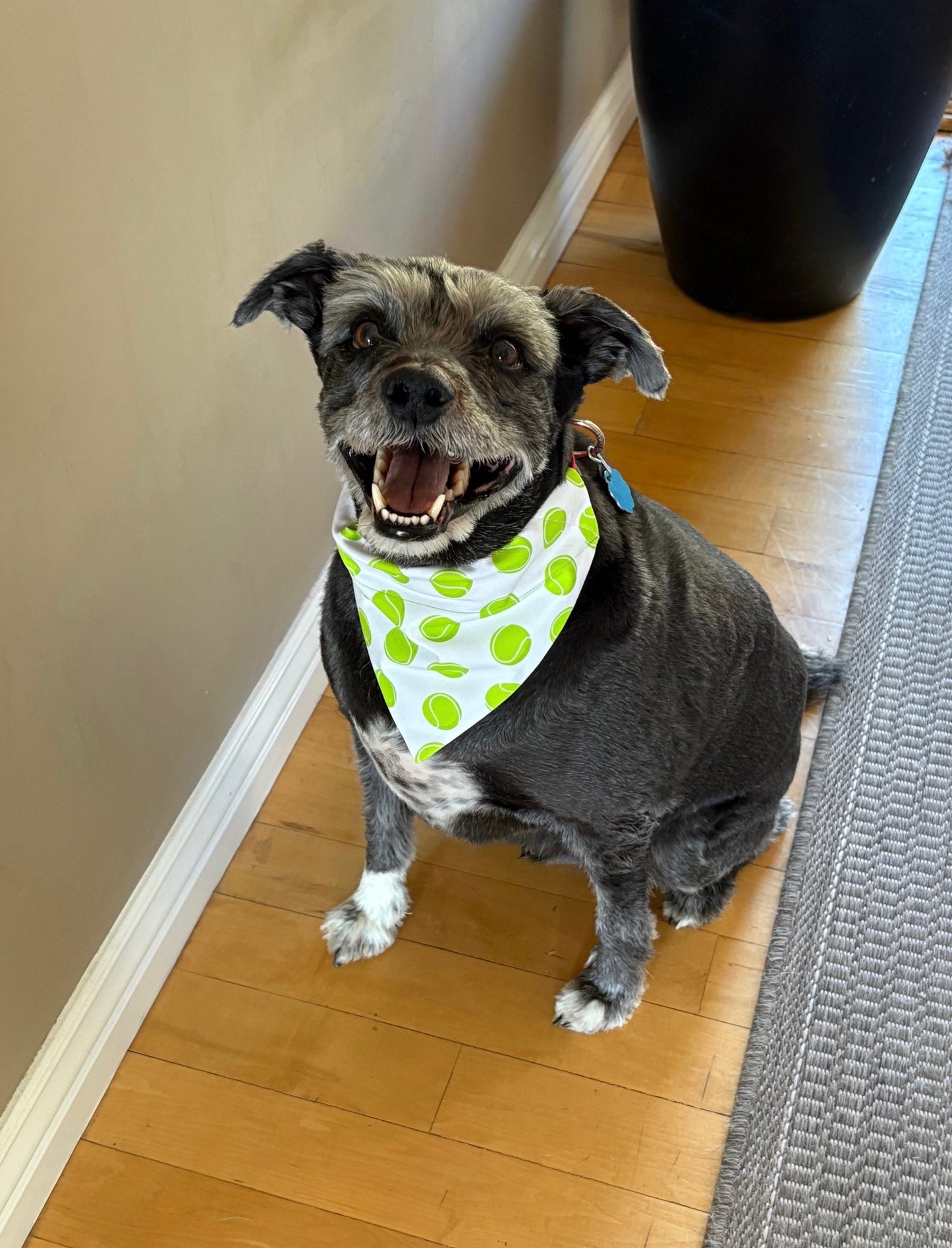 Tennis Balls Scarves