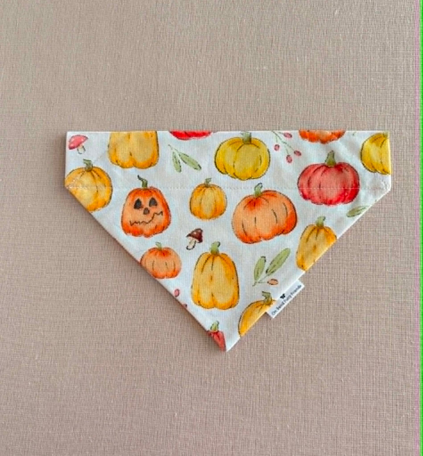 Pumpkin Parade Fall Scarves
