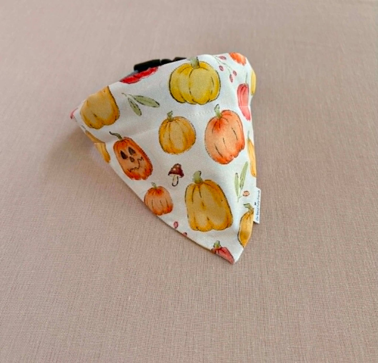 Pumpkin Parade Fall Scarves