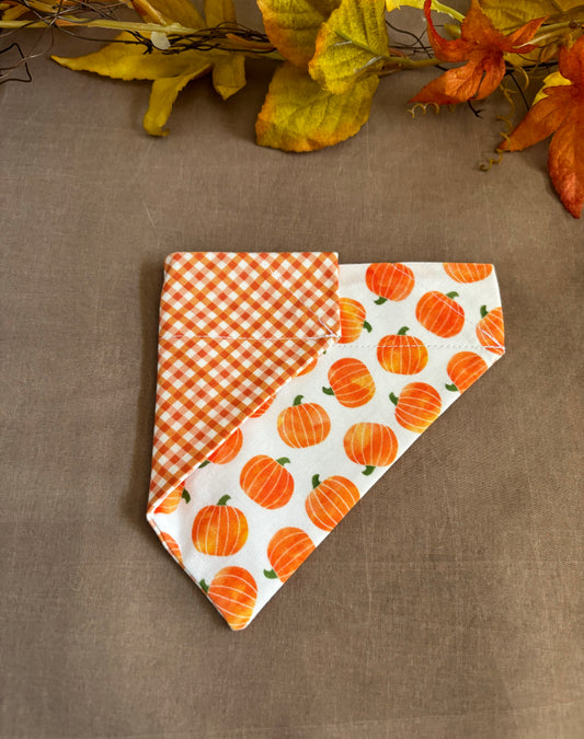 Reversible Pumpkins and Gingham Pet Scarf