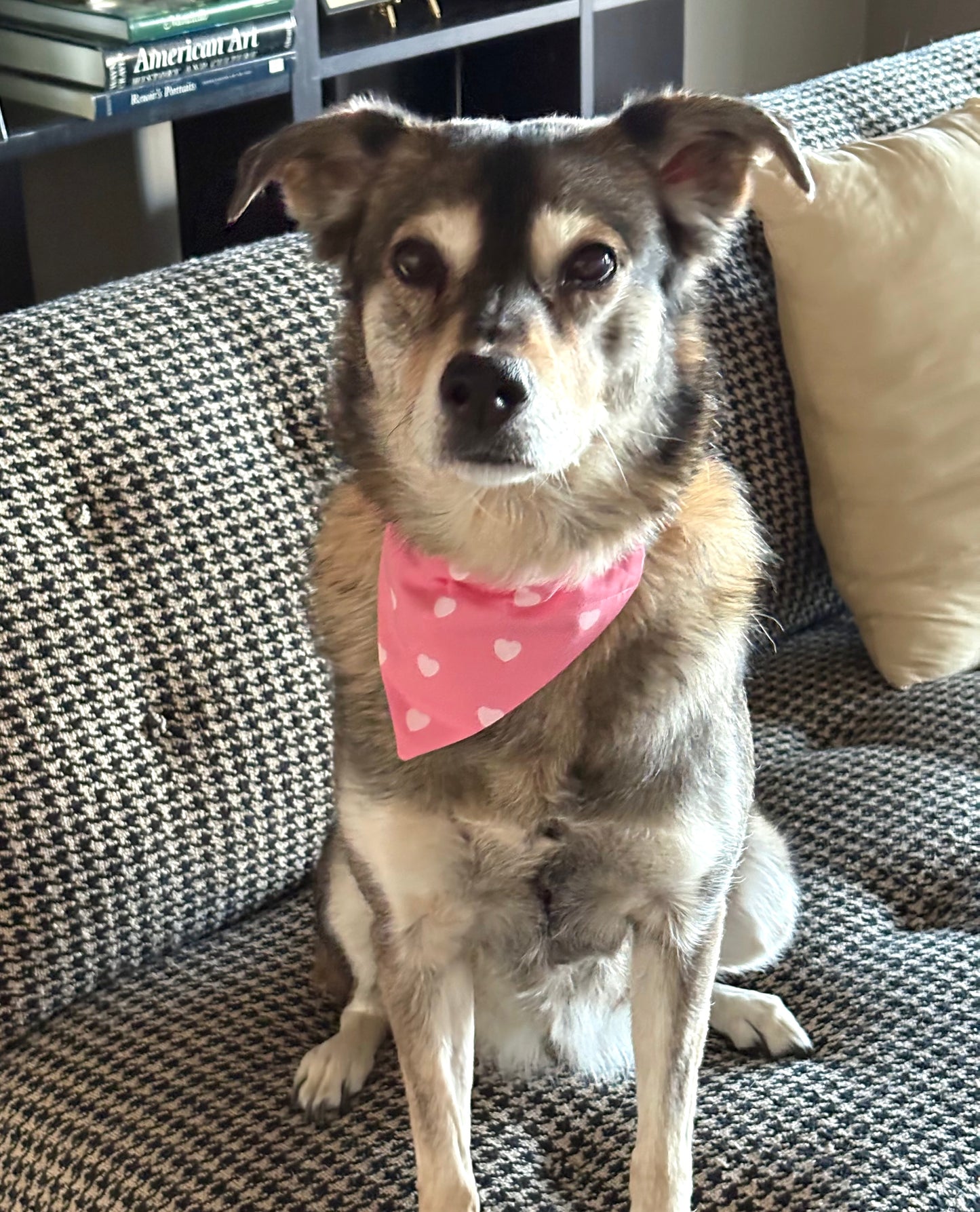 Pink Heart Scarves and Bows in 2 Color Choices