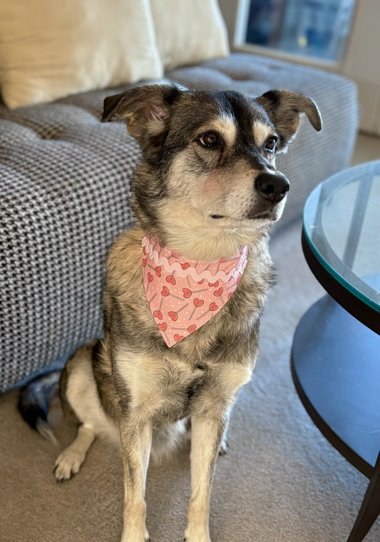 Heart-shaped Lollipop Pet Scarf for Valentine's Day