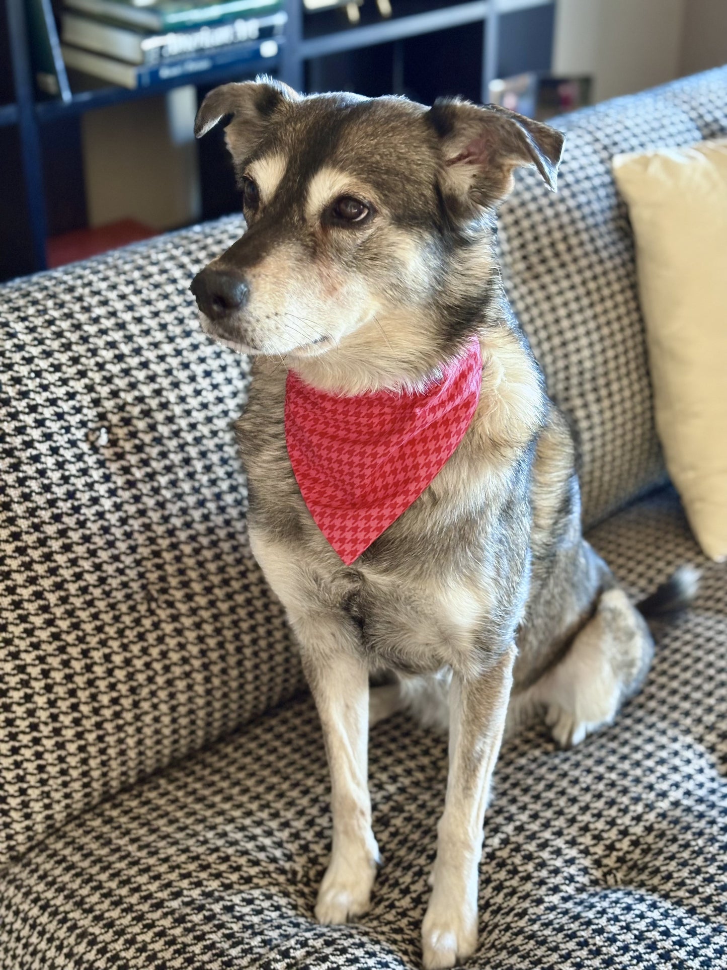 Red Houndstooth Pet Scarf and Bows