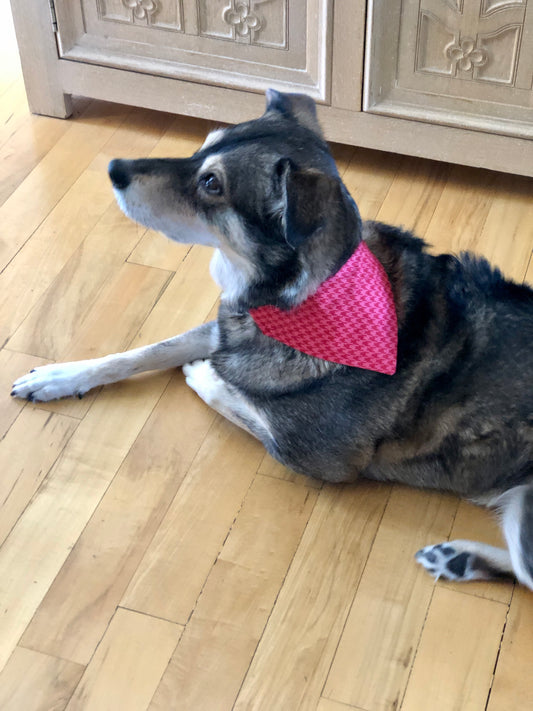 Red Houndstooth Pet Scarf