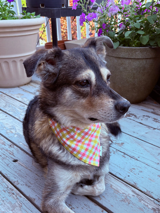 The Summer Plaid Scarf in Three Color Palettes