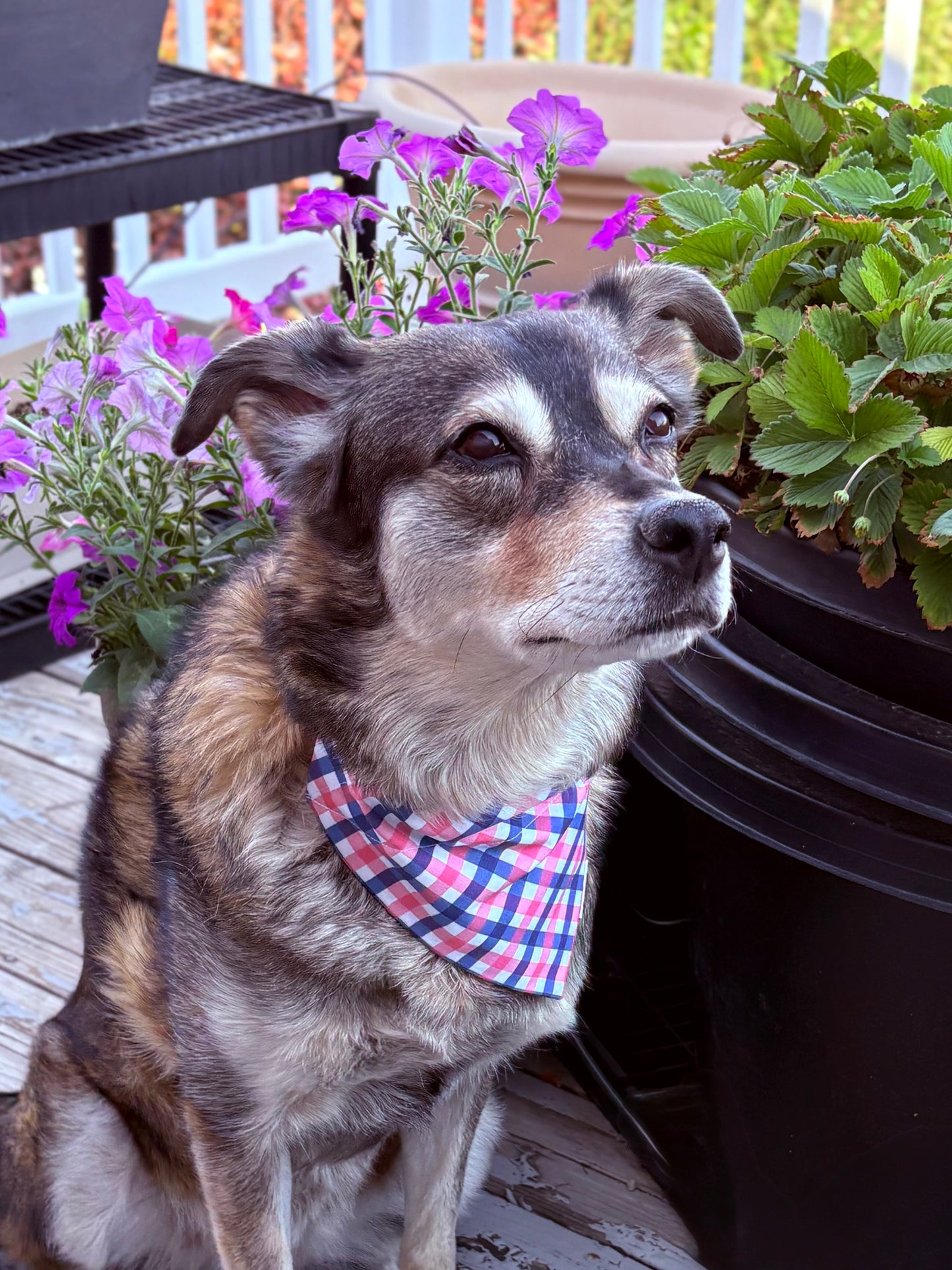 The Summer Plaid Scarf in Three Color Palettes