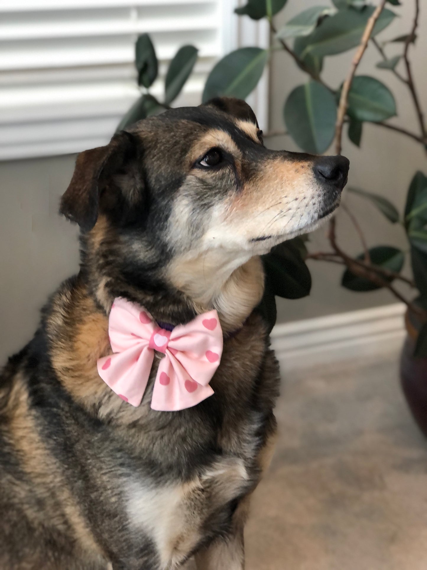 Pink Heart Scarves and Bows in 2 Color Choices