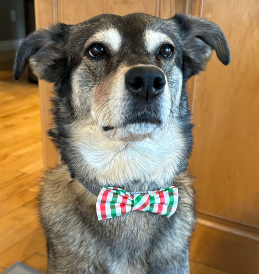 Holiday Bow Ties