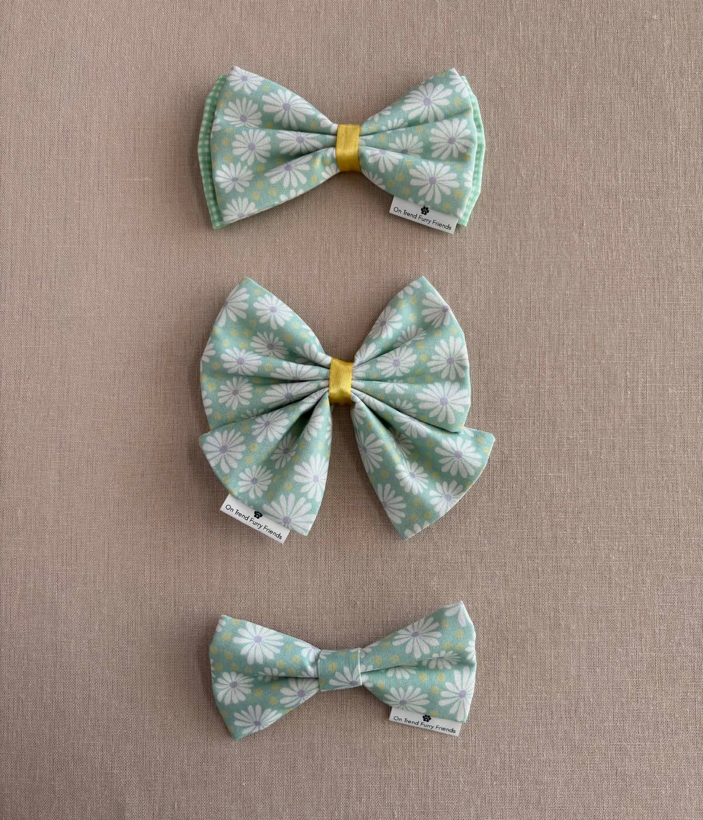 Fun with Daisies in Scarves and Bows