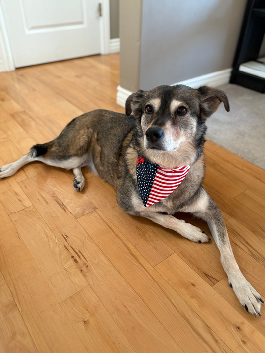 Stars and Stripes Forever in Two Varieties!